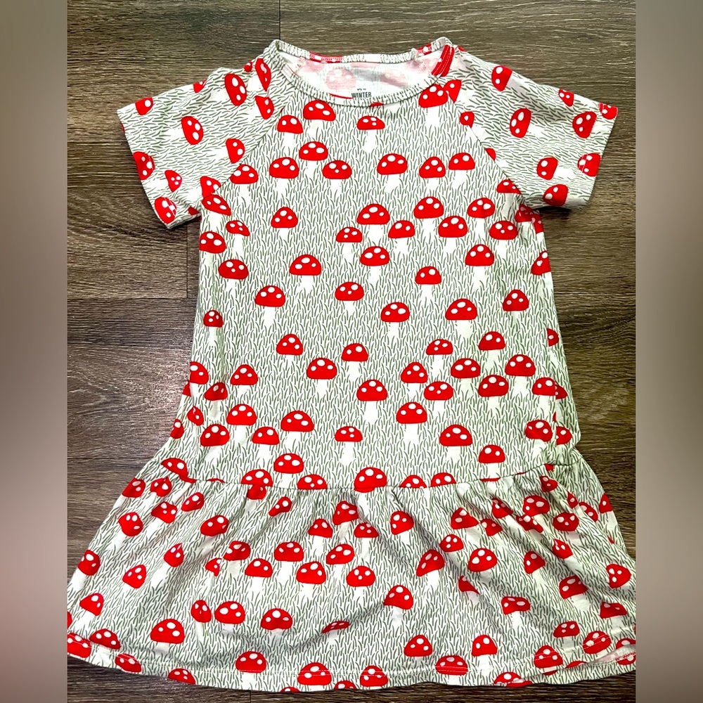 Winter Factory Valencia Mushroom dress sz6